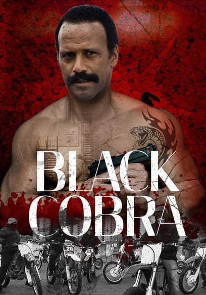 Black Cobra