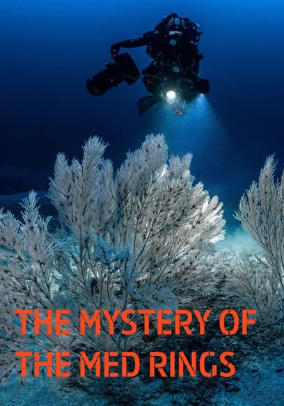 The Mystery of the Med Rings poster