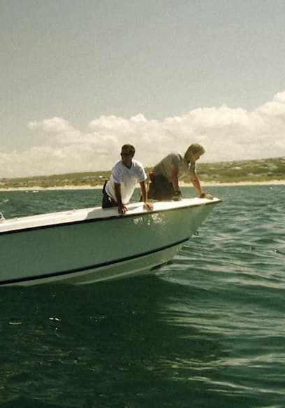 S01:E02 - Bay of the Fighting Sharks poster