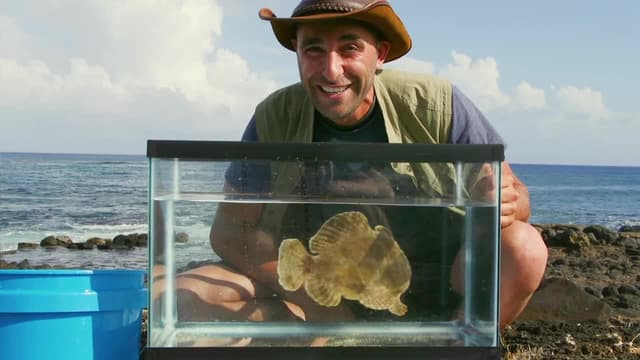 S07:E03 - Please Don't Bite