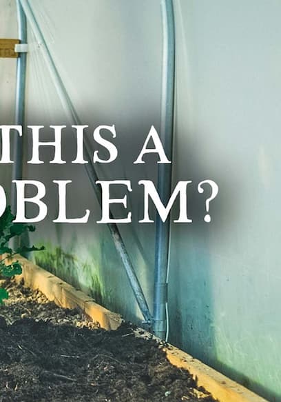 Póster de S01:E04 - Why Compost Alone Won't Build the Healthiest Soils