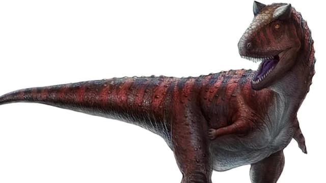 S03:E05 - Carnotaurus: The Terrifying Horned Carnivorous Dinosaur