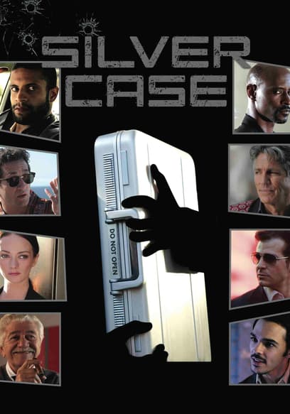 Silver Case