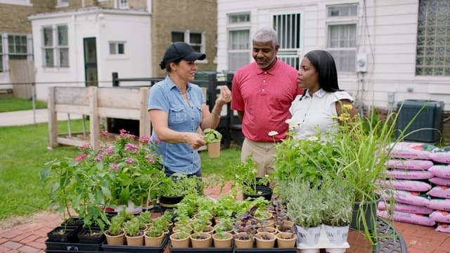 S23:E22 - Urban Gardens, Apron Driveway