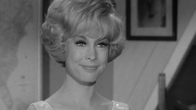 S01:E24 - The Permanent House Guest