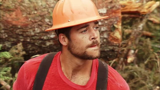 S03:E02 - Deeper Into the Swamp