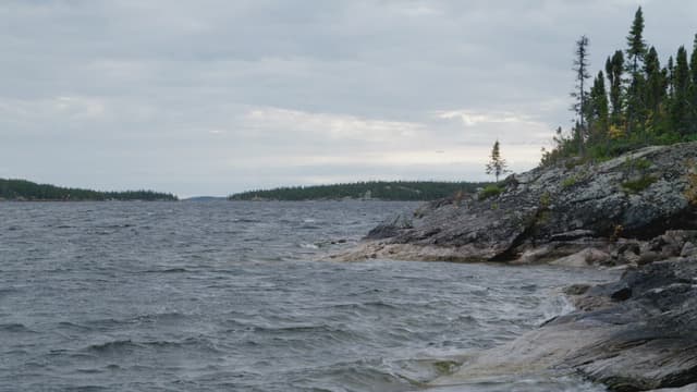 S10:E99 - Season 10: Before the Drop