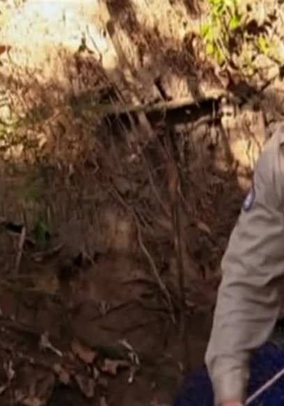 S06:E06 - Search for the Super Croc poster