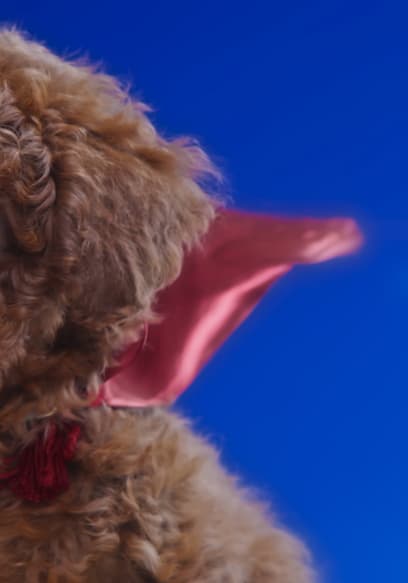 S01:E03 - Superpants / Mittens’ Parade / Puppies and Holes poster