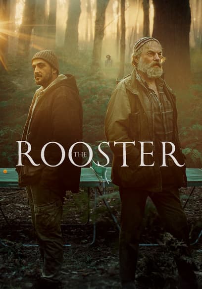 The Rooster
