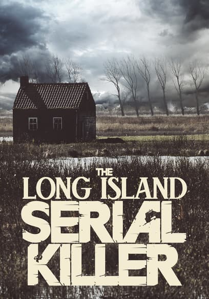 The Long Island Serial Killer
