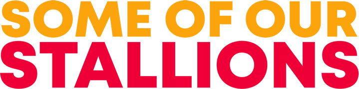 Some of Our Stallions