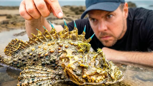 S01:E01 - Deadliest Animals of Australia