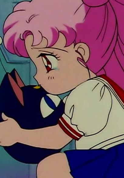 S02:E18 - In Search of the Silver Crystal: Chibi-usa’s Secret poster