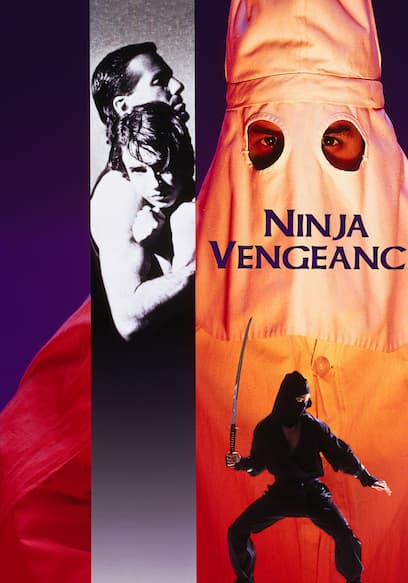 Ninja Vengeance