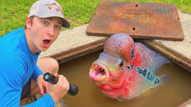 Bass Fishing Productions