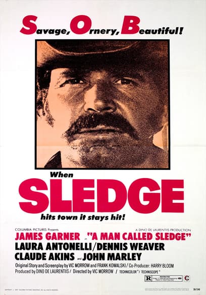 A Man Called Sledge