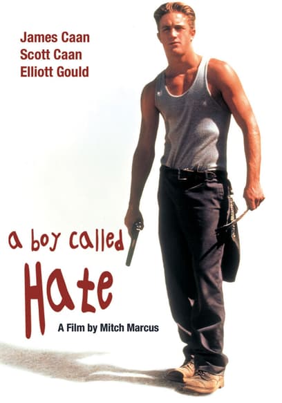 A Boy Called Hate