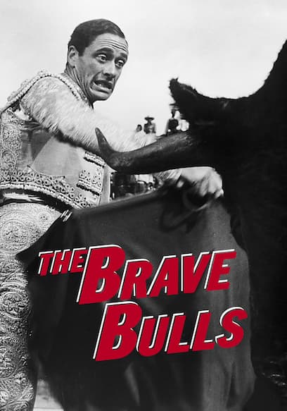 The Brave Bulls