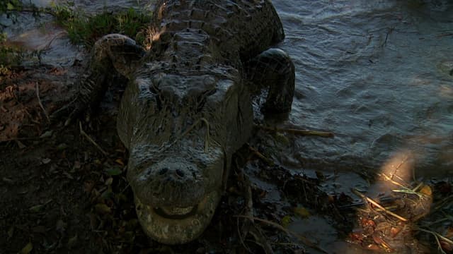 S08:E07 - Murder on Mirror Lake