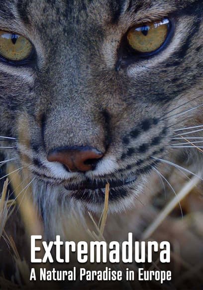 Extremadura: A Natural Paradise in Europe poster