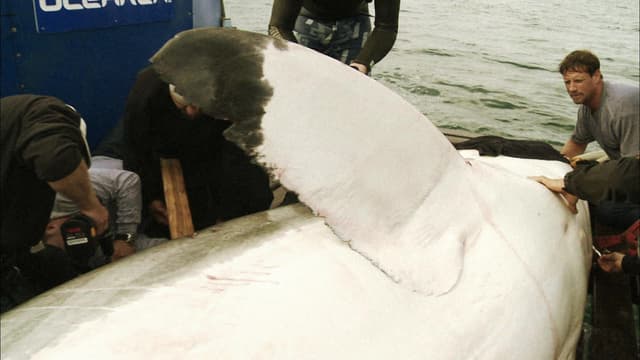 S01:E07 - Friday the 13th