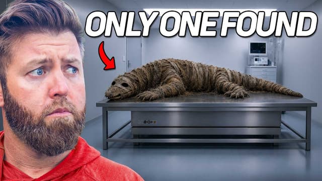S01:E07 - 5 Animals That Have Only Been Seen Once 