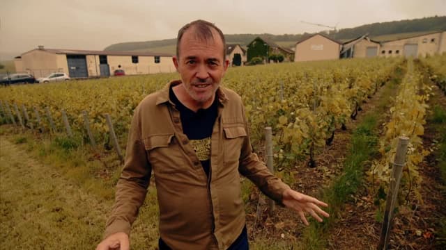S01:E02 - Can You Smell Soil in Wine?