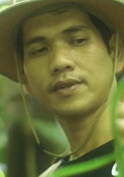 S01:E15 - Trailing Giant King Cobras of Southern Thailand (Pt. 2) poster