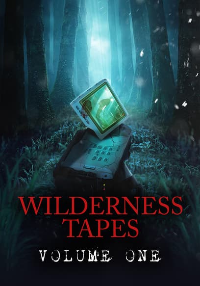 Wilderness Tapes: Volume One poster