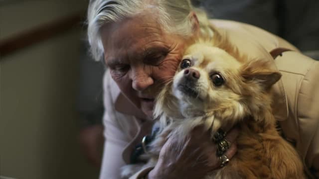 S01:E10 - Episode 10