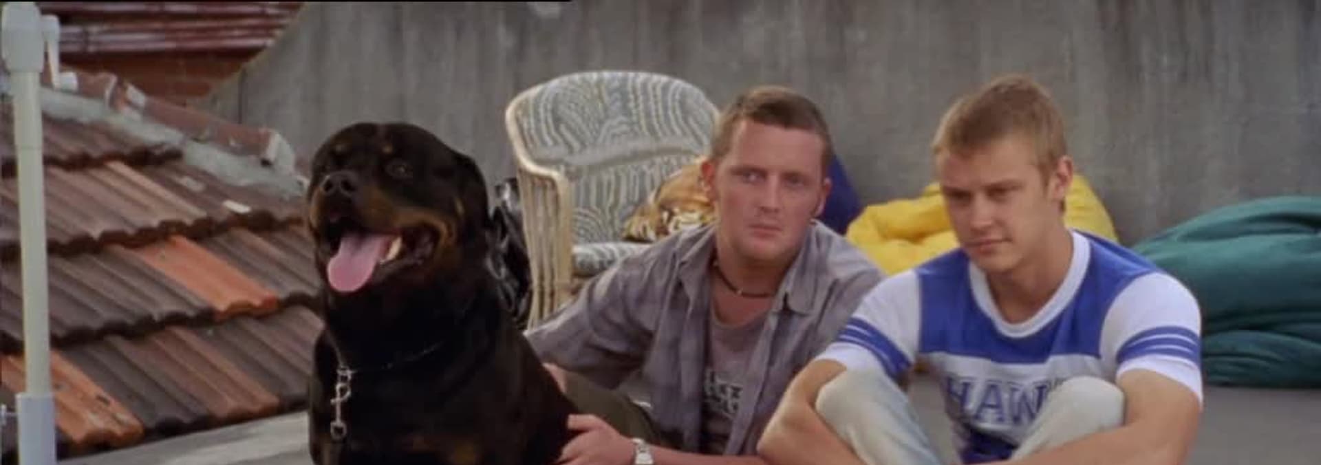 Watch The Secret Life of Us S04:E01 - The Truth About Cats and Dogs (Pt ...