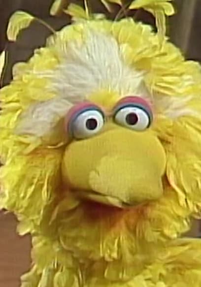 S14:E02 - Big Bird's First Day at Camp poster