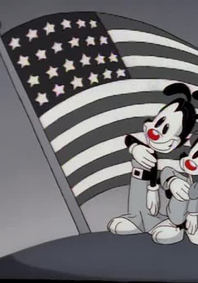 S01:E57 - Of Course You Know, This Means Warners/Up a Tree/Wakko's Gizmo poster