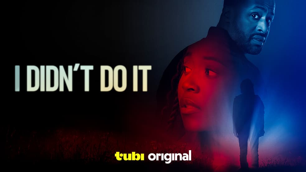 I Didn’t Do It provider artwork