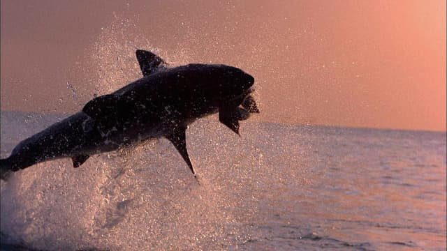 S01:E09 - Redemption