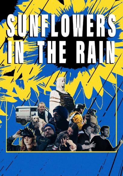 Sunflowers in the Rain