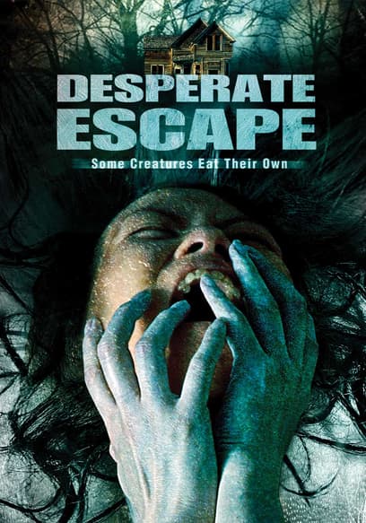 Desperate Escape poster
