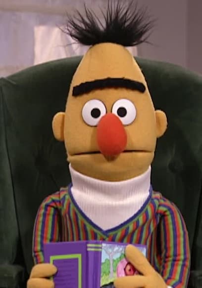 S35:E07 - Elmo's Chicken Dream poster