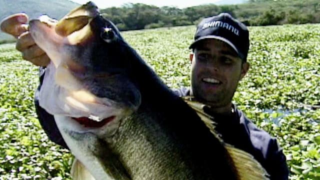 S02:E03 - Big Bass Below the Border: MazatlÃ¡n, Part 1