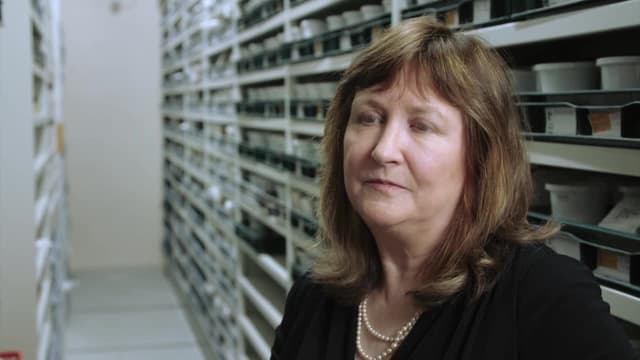 S01:E01 - Bug Detectives