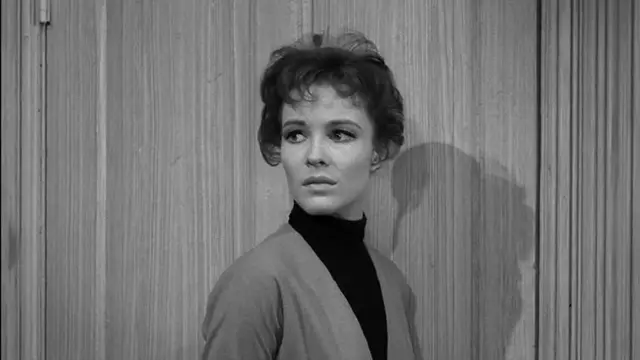 S01:E29 - Nightmare as a Child