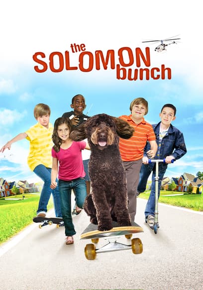 The Solomon Bunch poster