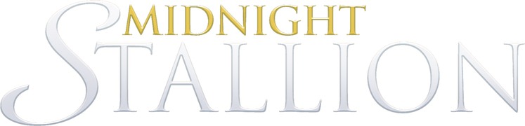 Midnight Stallion