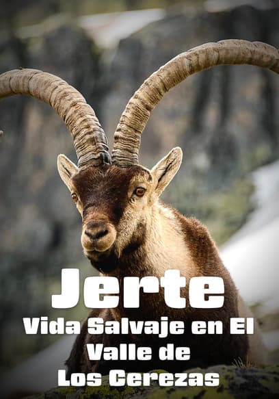 Jerte: Vida Salvaje en El Valle De Los Cerezas