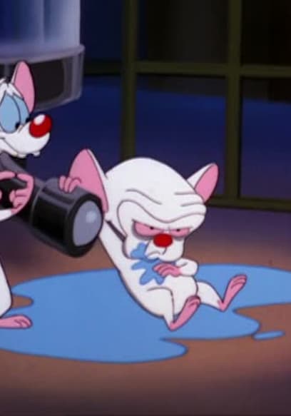 S03:E07 - This Old Mouse poster