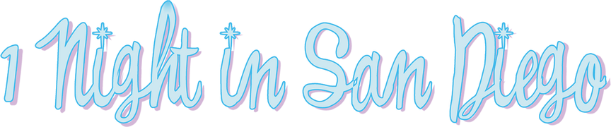 1 Night in San Diego