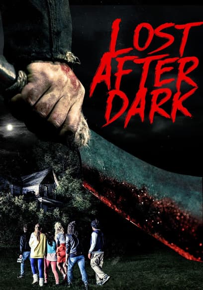 Lost After Dark poster