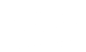 The Preacher's Daughter