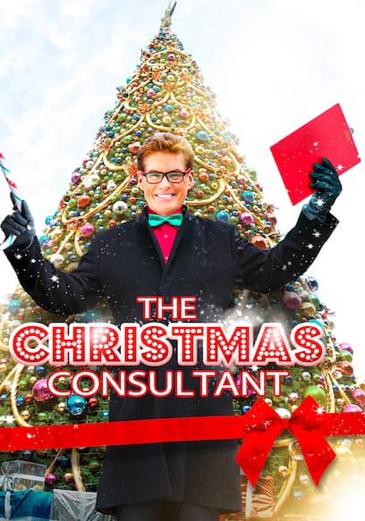 The Christmas Consultant